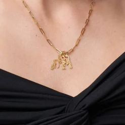 Bailey Link Chain Name Necklace - Gold Vermeil