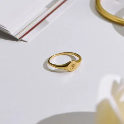 Tony Custom Initial Ring - Gold Vermeil